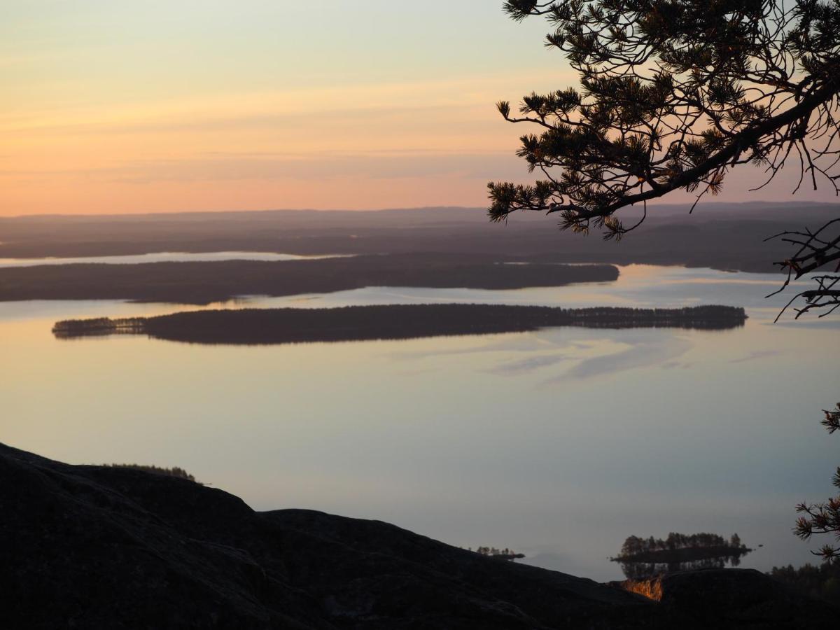 Aava Koli Villa Kolinkylä Eksteriør bilde